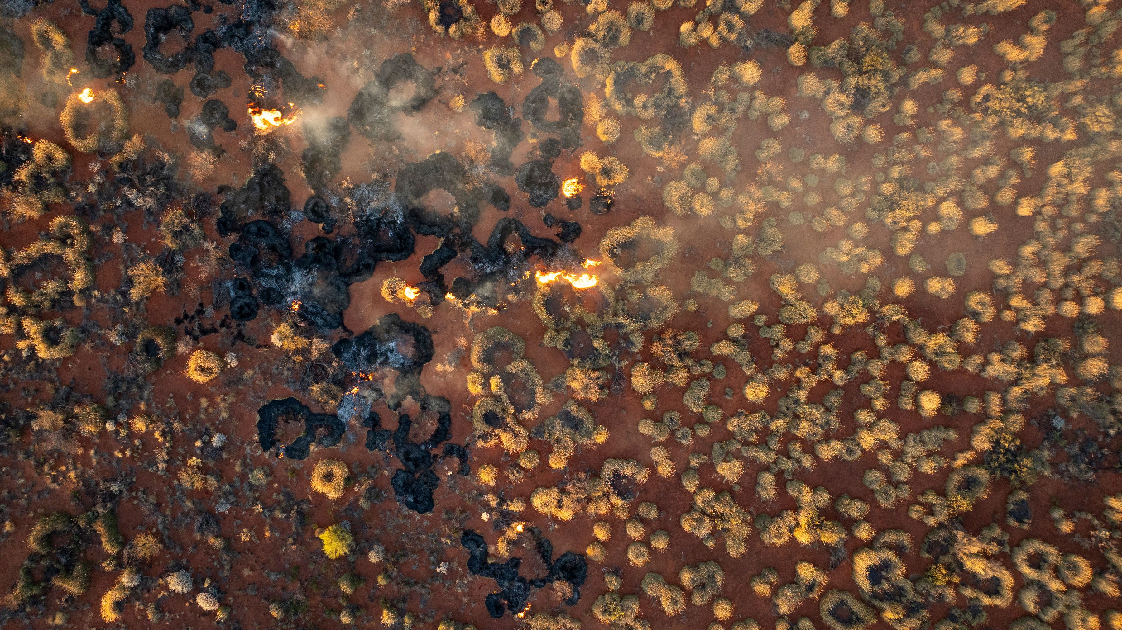 Небольшой огонь, горящий в спинифексе.