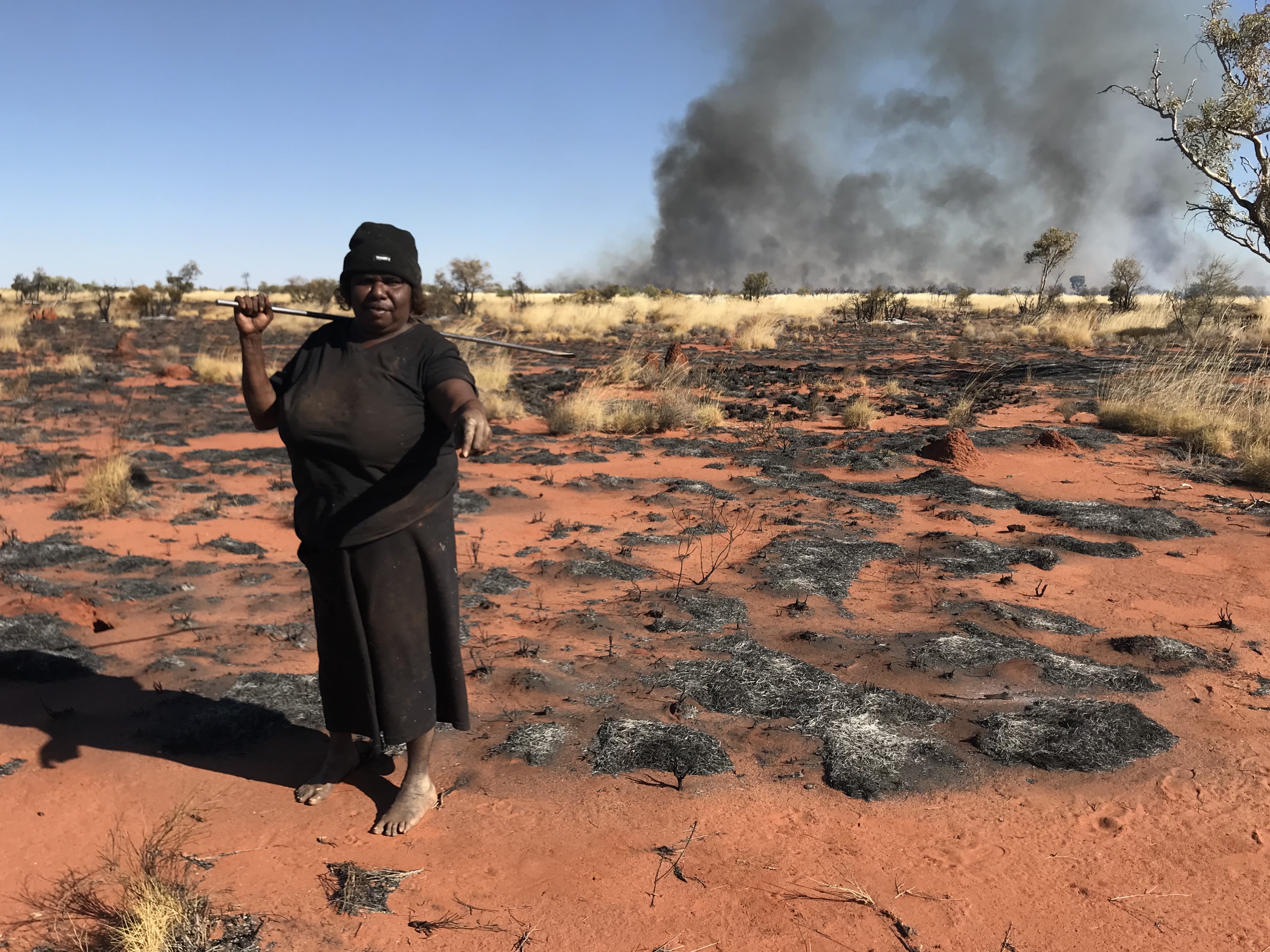 An Indigenous woman hunting for goanna after a spinifex burn.