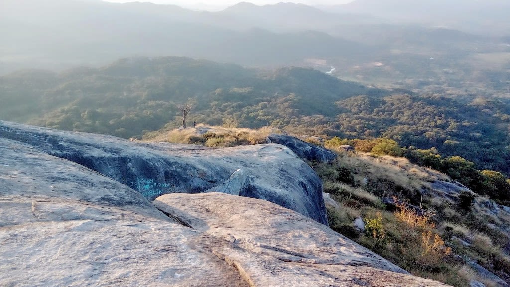 Vista with a bare rock in the foreground and tree covered mountains in the background