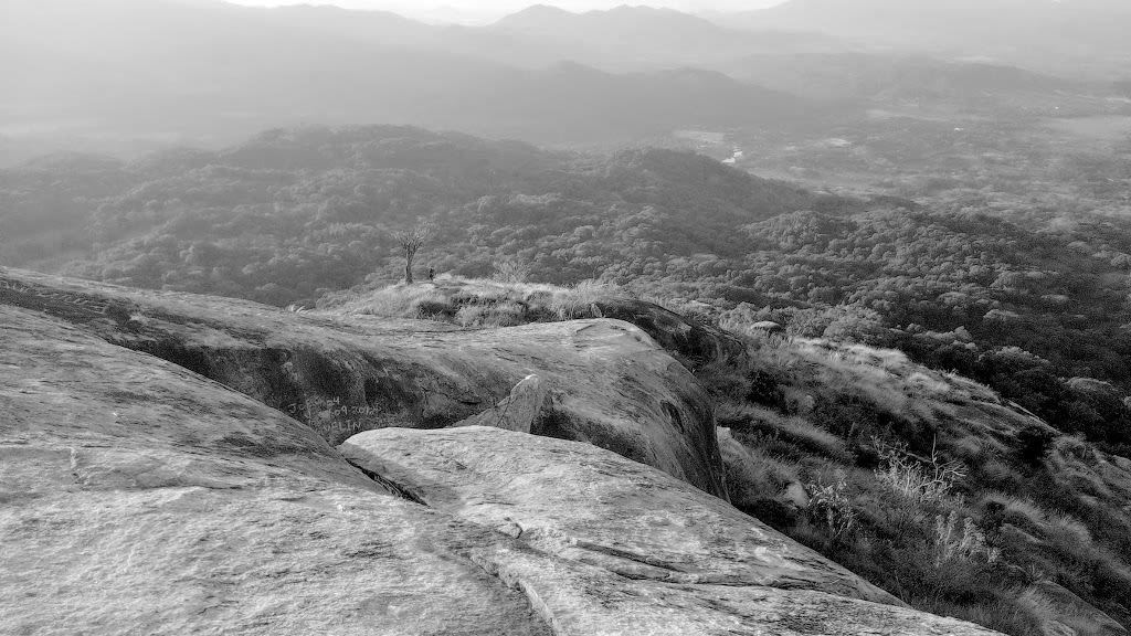 Vista with a bare rock in the foreground and tree covered mountains in the background